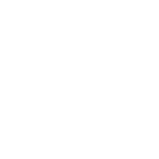 WCL Helmet logo